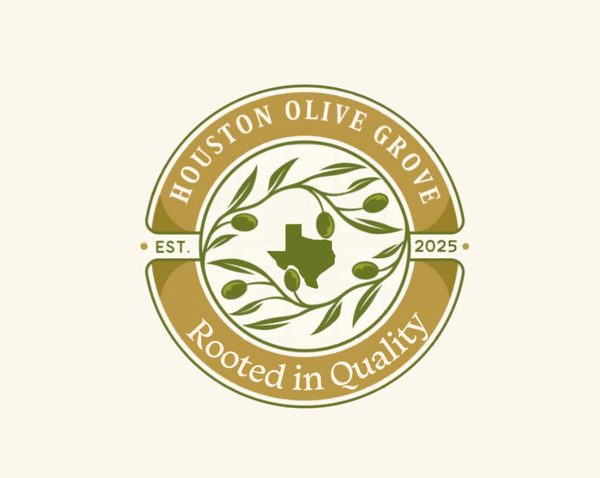 Houston Olive Grove 